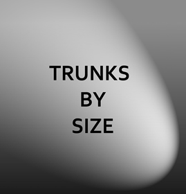 Trunks by Size