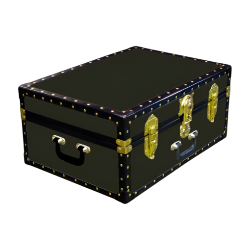 11-078 R OLIVE 24 Storage Trunk Case with ABS Trim