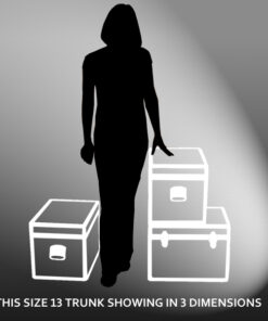 Alternative view of 13-071 AE ALLOY LP 150 Storage Trunk with Alloy Trim