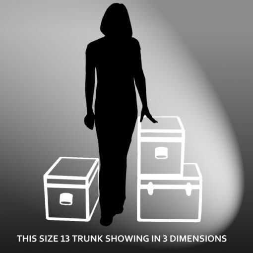 13-071 AE ALLOY LP 150 Storage Trunk with Alloy Trim - Image 2