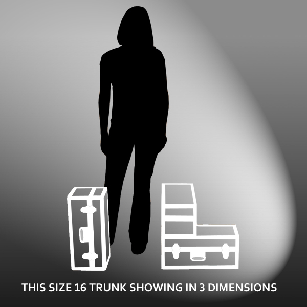 16-084 ZEBE FAUX ZEBRA Single 100 Storage Trunk with Alloy Trim - Image 2