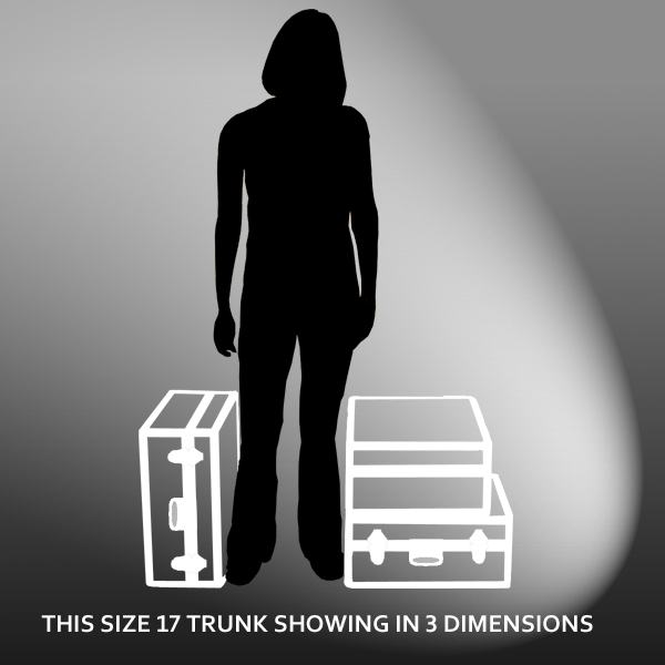 17-115 ZEBE FAUX ZEBRA Single 200 Storage Trunk with Alloy Trim - Image 2