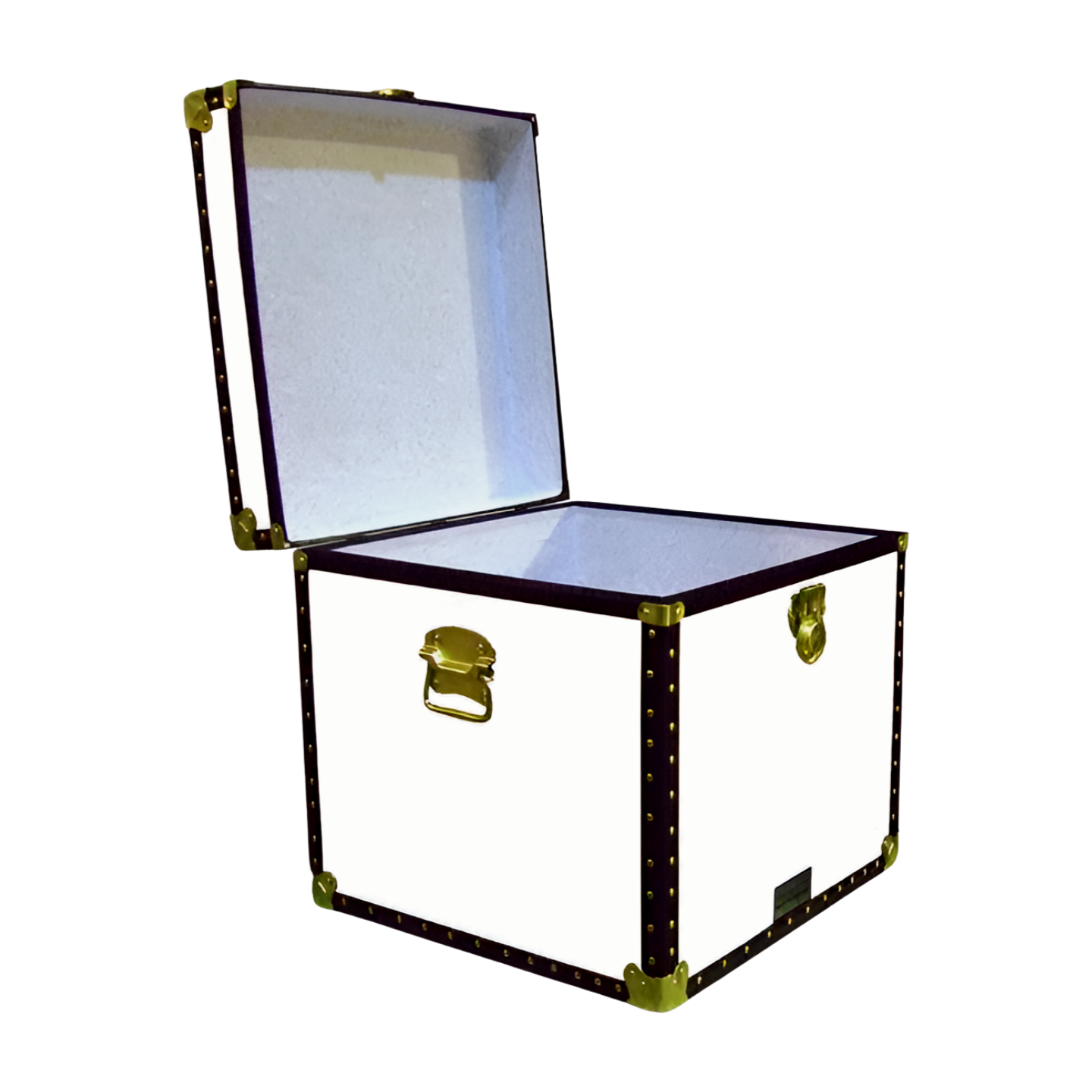 20-177 WL WHITE LEATHERETTE Cube Storage Trunk with ABS Trim - Image 2