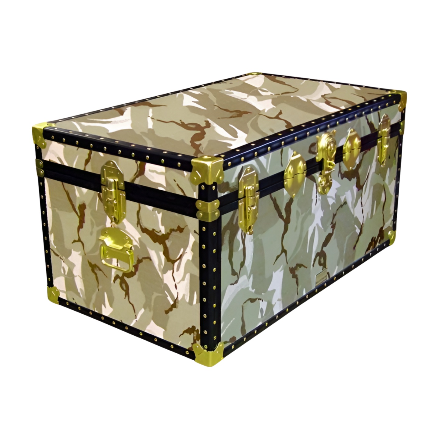 07-147 DS DESERT STORM CAMO 33 Deep Storage Trunk with ABS Trim